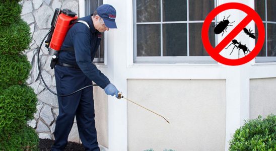 Arpaçay Uçan Haşere İlaçlama böcek ilaçlama ve haşere kontrolü — ilaclama-tr.com